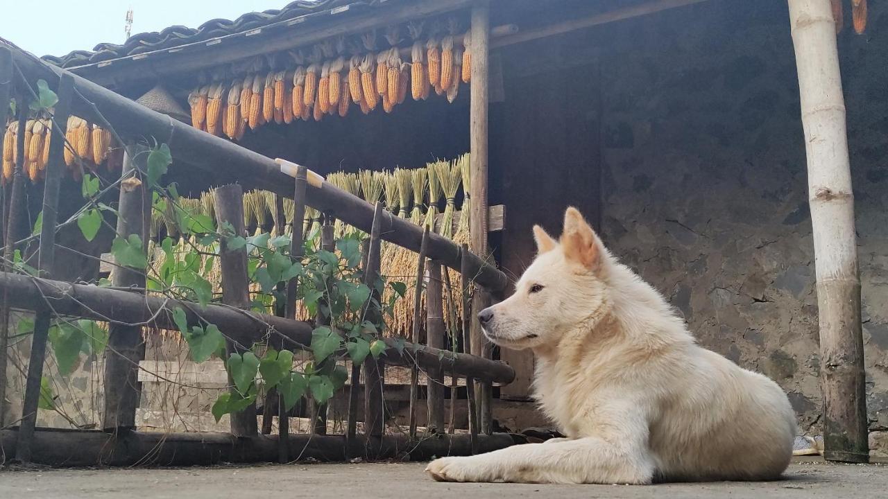 Hoang Cong Ban Gioc Homestay 까오방 외부 사진